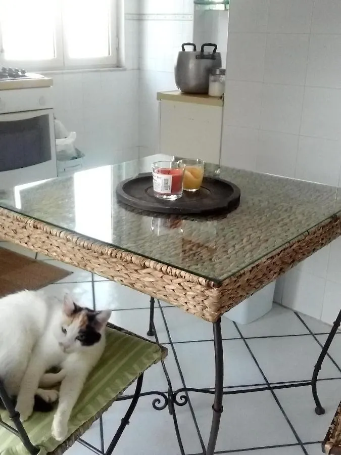 Homestay La Casa Del Sole Apartment Naples